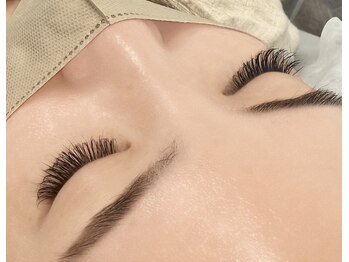 ルピナス 川口(Lupinus)/フラットラッシュ140本