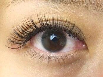 ボーテ(beaute)/大人気!ボリュームラッシュ