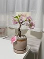 ネイルルームリラ 川崎(nailroom lilas)/nailroom lilas 川崎【ネイルルーム リラ】