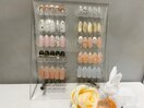 6月～定額デザイン1
