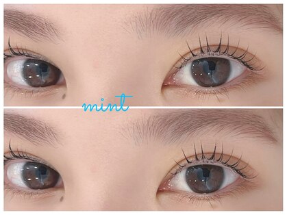 ミント(mint)の写真