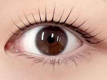 トゥリー(toree)の写真/【NEWOPEN】ナチュラルに上品な「垢抜けまつ毛パーマ」でお気に入りの目元に♪下がりまつげの方にも◎