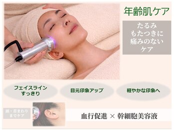 サロンラグナ(Salon Laguna)の写真/最近、ほうれい線やフェイスラインのもたつきが気になってきた方に。幹細胞×巡りケア。すっきり軽い印象へ