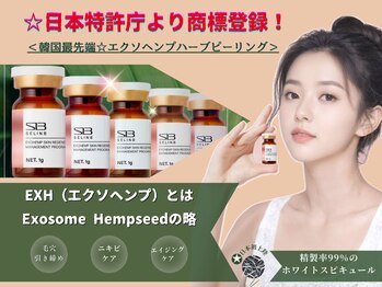 ベニバナ 五反田駅前の写真/韓国最先端エクソヘンプ・スピキュールハーブピーリング総代理店！日韓共同開発グロスピールも新導入！