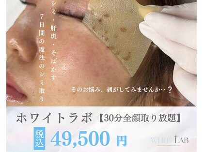 ラミパス(LAMIPAS)の写真