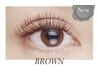 人気NO.1【Perfect lash】ブラウン新登場☆黒より柔らかい印象に☆110束