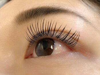 アイラッシュサロン シルシア(Cilsia)/フラットラッシュ　上付放題