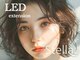 ステラ(Stella.)の写真