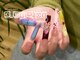 シェノエ ネイルズ(Chenoe Nails)の写真