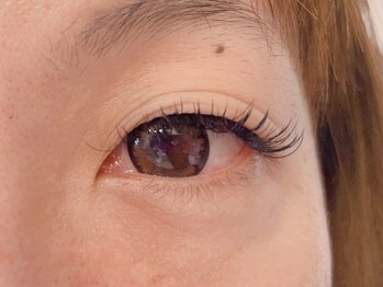 キャメル(camel)/【フラットラッシュ】220本