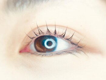 アバンテ シル(Avante_CIL)/ラッシュリフト