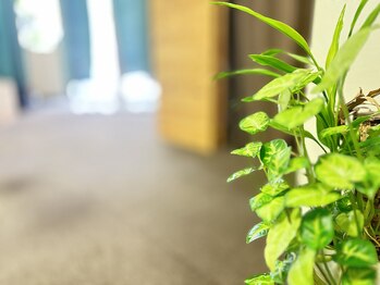 鍼灸治療院 森空堂 本院/「自分を労る時間」を大切に