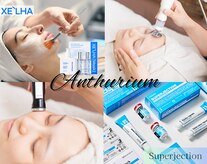 アンスリウム(Anthurium)