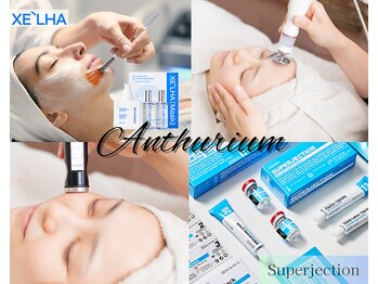 アンスリウム(Anthurium)