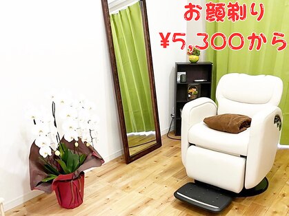 ココア(Cocoa)の写真