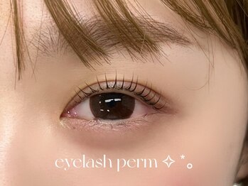エサージュ 表参道店/まつ毛パーマ/担当：金子
