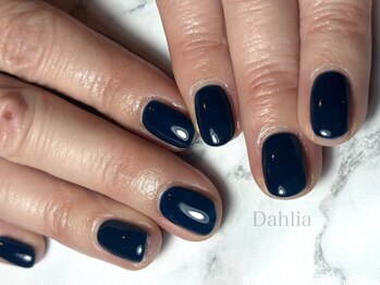 ダリア(Dahlia)/ワンカラー★