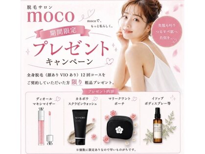 モコ(moco)の写真