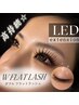 【☆高持続LED☆】ダブルフラットラッシュ120束