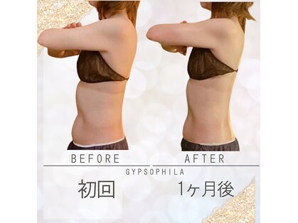 ジプソフィラ(Gypsophila)の写真