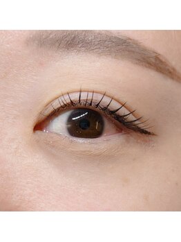 ラヴィータエベッラ(La Vita e Bella)/Jカール100本