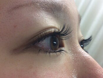 シュシュ(chou chou)/セーブル160本(chouchou吉祥寺)