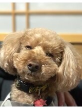 アイラッシュサロン ニン 心斎橋(Nin)&nbsp;Nin 