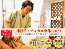 ねこのせなか