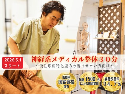 ねこのせなかの写真