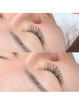 メゾンリリー 藤井寺(maison lily)/フラットラッシュ180本