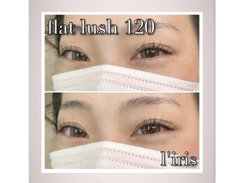 リリス(l’iris)/フラットラッシュ120本