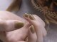 チェスナッツ 銀座(CHESTNUTS Nail&Eyelash)の写真