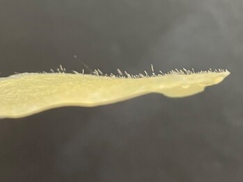 サニーレイ(Sunny Ray)の写真/<マツヤニWax>でスピード美肌が叶います♪産毛/毛穴/角栓/ごわつき/くすみなどの様々なお肌悩みに!