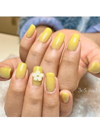 ◆ ワンカラー＋追加アート ◆