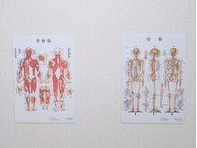 リラクゼーションスペース/骨格筋・骨格｜肩こり/腰痛/頭痛
