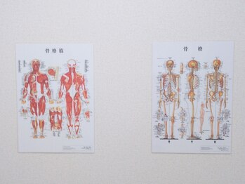 リラクゼーションスペース/骨格筋・骨格｜肩こり/腰痛/頭痛