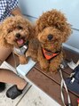 チコネイルサロン バイ オーロル(CHIKO NAIL SALON by AURORE)&nbsp;我が家の愛犬です！！