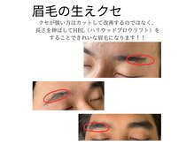 ベリーム(bereme)の雰囲気（眉クセ改善【HBL】）