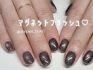 マグネットフラッシュ