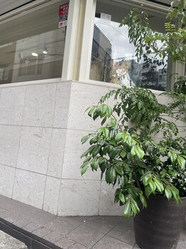 ダイキネイル(Daiki Nail)の写真/長堀橋から徒歩2分以内！雨に濡れない好立地で指先から輝くネイルを叶えるサロン◎