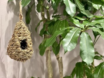 ハーバリー ハーブピーリング 岐阜(HERBERRYハーブピーリング)/ハーブピーリング専門店HERBERRY