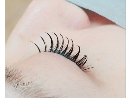 アペゼ(apaiser)の写真