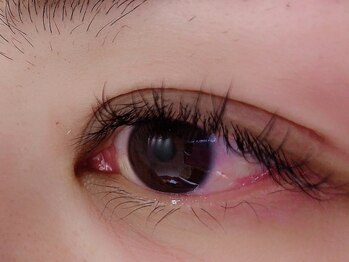 カラン 焼津店(CALIN)/フラットラッシュ 80本♪