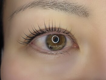 フリー#240(Free#240)/コスメリフト