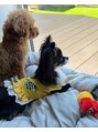 ハニー(Honey) 従兄弟のマサムネちゃんが、遊びにきました。一緒に窓際観察♪