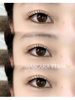 パティオアイラッシュ(Patio eyelash)/マスカラパーマ