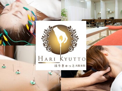 はりきゅっとの写真