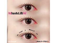 エスティバン 心斎橋(ESTIVANT)/まつ毛パーマデザイン