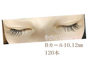 シルフ 石橋店(Sylph)/ミックススタイル