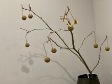 ハーバリー ハーブピーリング 岐阜(HERBERRYハーブピーリング)/ハーブピーリング専門店HERBERRY